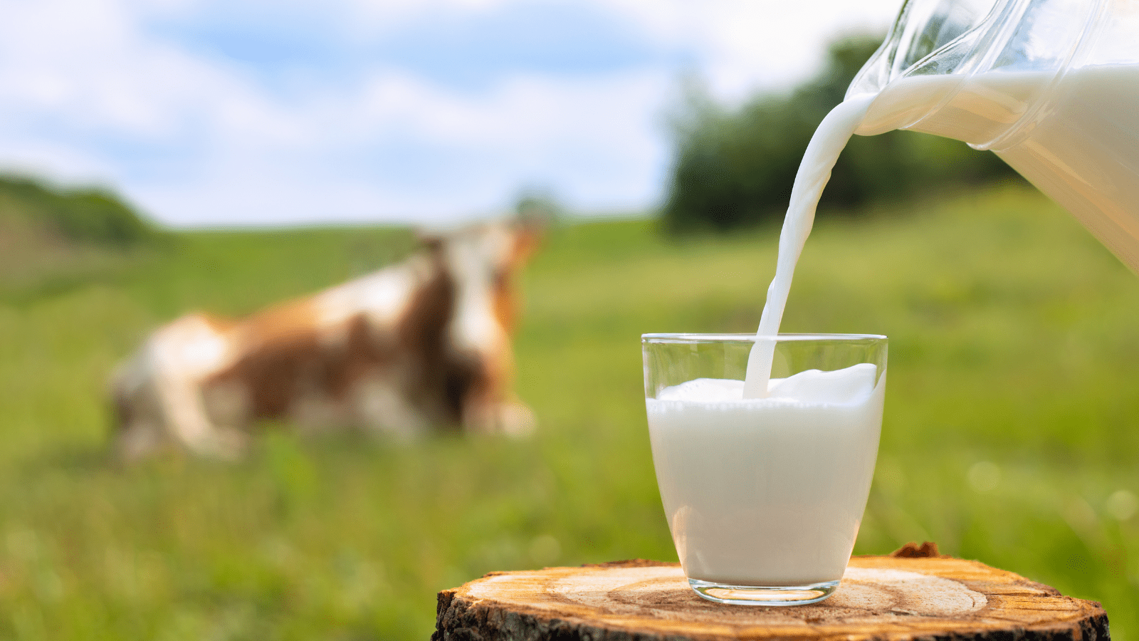 Oatly