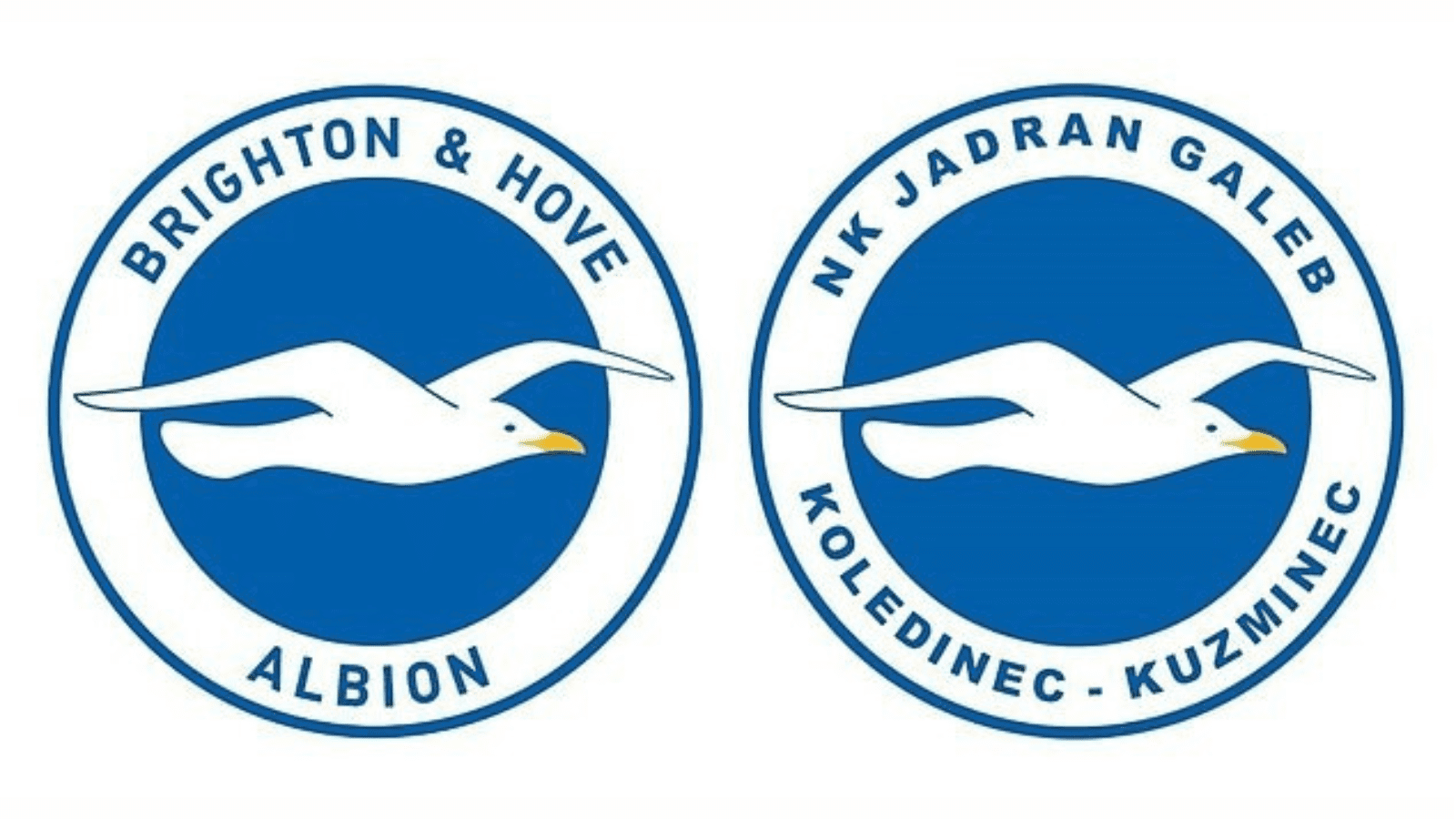 Brighton & Hove Albion
